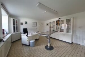 Tierarztpraxis Hochhauser