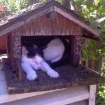 Tierarztpraxis Kagran