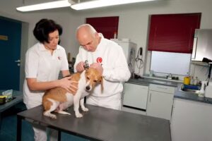 Tierarztpraxis Lannach