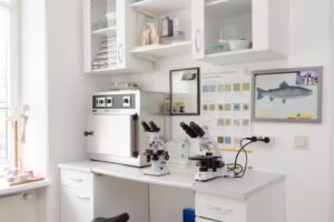 Tierarztpraxis Lilienfeld Dr. Med Vet Heinz Heistinger u. Mag. Med Vet Karin Heistinger