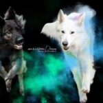 Tierarztpraxis Linde