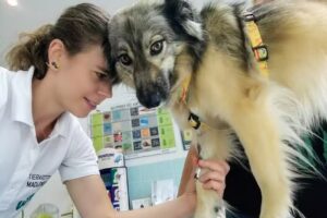 Tierarztpraxis Madlener