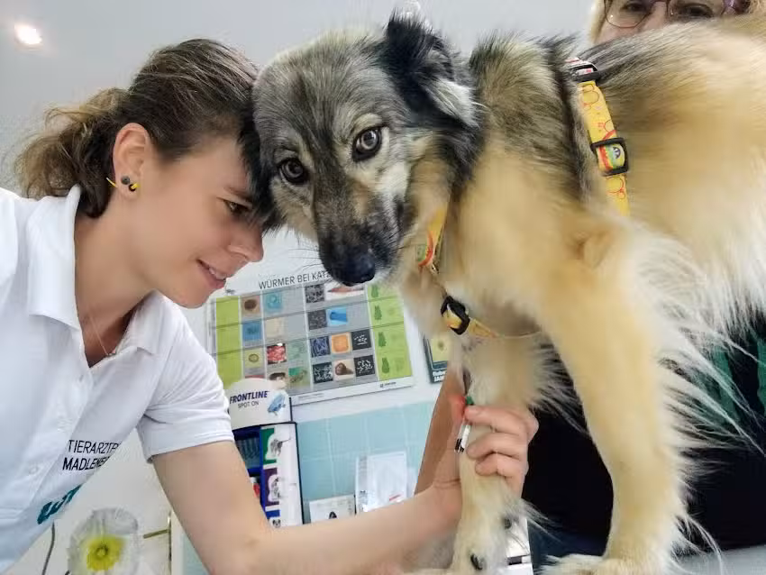 Tierarztpraxis Madlener