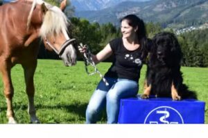 Tierarztpraxis Mag. Katharina Seitinger (vormals Sauer)