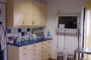 Tierarztpraxis Nestroystrasse