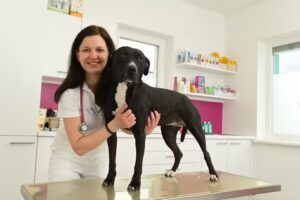 Tierarztpraxis Neufeld