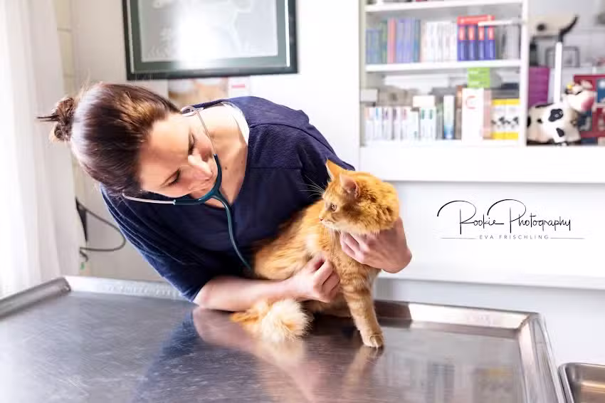 Tierarztpraxis Oberhofen am Irrsee