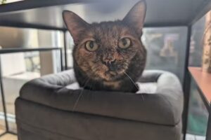 Tierarztpraxis Pottenbrunn