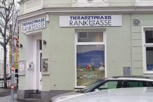 Tierarztpraxis Rankgasse Mag. med. vet. Nina Brabetz