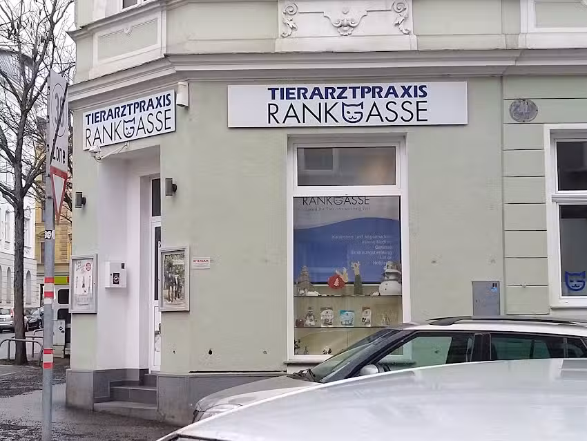 Tierarztpraxis Rankgasse Mag. med. vet. Nina Brabetz