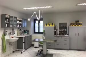 Tierarztpraxis Sandra Maurer St. Lorenzen