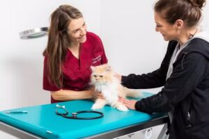 Tierarztpraxis Schmid