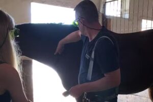 TierArztPraxis Schrems – Mag. Bernhard Kammerer