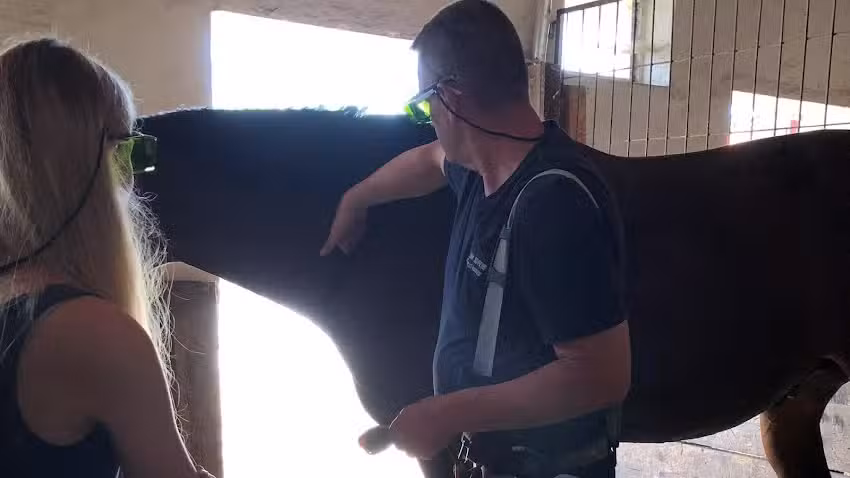 TierArztPraxis Schrems – Mag. Bernhard Kammerer