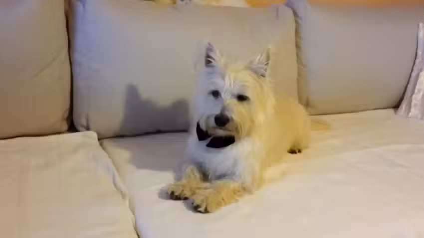 Tierarztpraxis Seepark