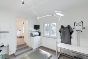 Tierarztpraxis Tribuswinkel Mag.med.vet. Johanna Schaffer