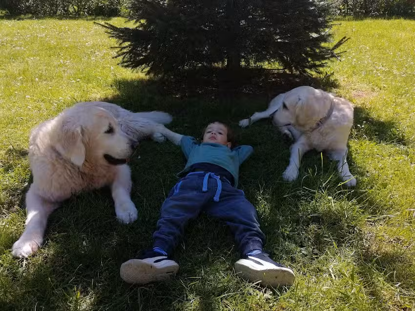 Tierarztpraxis Trofaiach Dr. Mörtl & Mag. Frisch