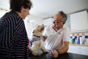 Tierarztpraxis Wieselburg, Vösenhuber & Auer OG