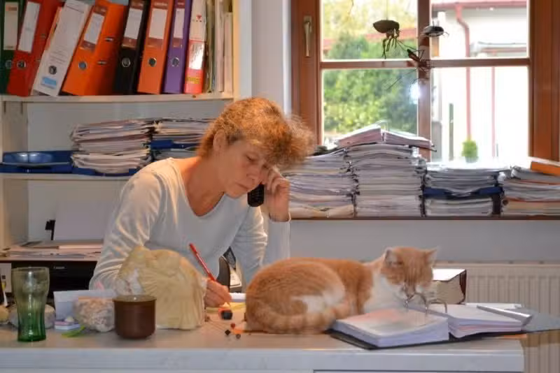 Tierarztpraxis Wolfsgraben Dipl Tzt -Susanne Holzbecher