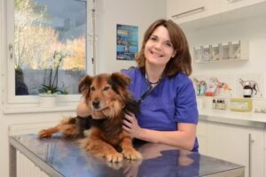 Tierarztpraxis Wüstenhagen