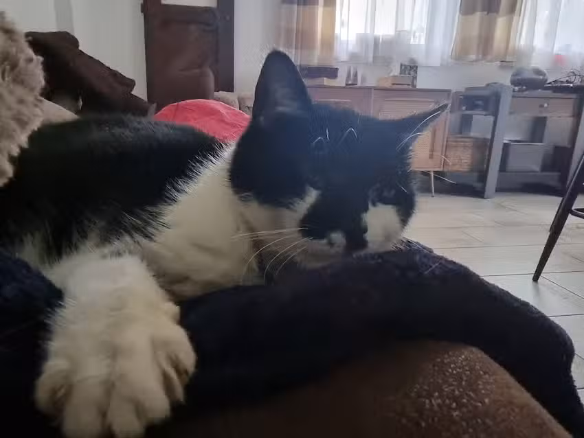 Tierarztpraxis Zauner-Bauer