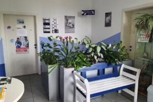 Tierarztpraxis Zistersdorf