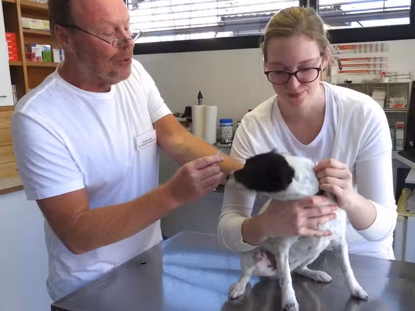 Tierklinik Dr Sylvia u Dr Rudolf Tschabrun