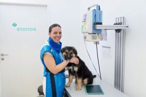 TIERplus Wien-Seyring – Mein Tierarzt im Fressnapf