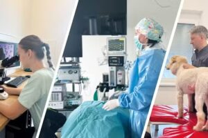 TMZT – Tiermedizinisches Zentrum Teesdorf