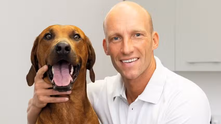 VET Chirurgie & Diagnostik – Dr. Mario Sauer