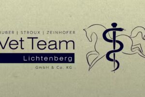 VetTeam Lichtenberg
