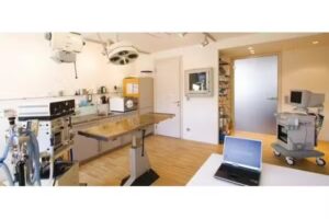 Wirnsberger Andrea Dr med vet, B.ac