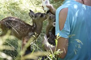 Wöckinger Stephan Dipl-Tzt & Dipl-Tzt Daniela Wöckinger