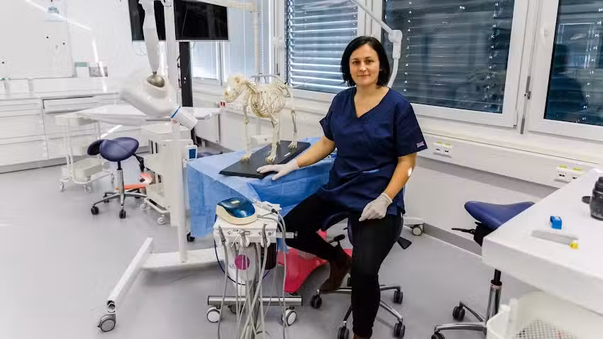 Zahntier&auml;rztin &ndash; Mag.med.vet. Christina Winter