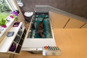 Zentrum für Tierphysiotherapie & Rehabilitation Mag. vet. med Sandra Stastny